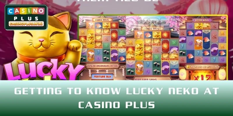Getting to Know Lucky Neko at CASINO PLUS