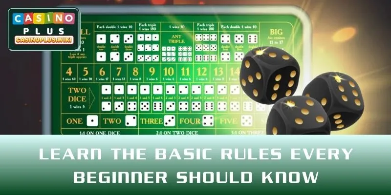 Learn the Basic Rules Every Beginner Should Know