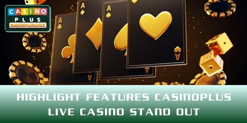 Highlight Features CASINO PLUS Live Casino Stand Out